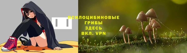 соль курить ск Алзамай