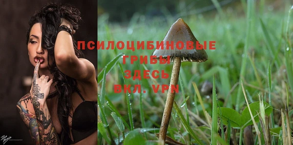 бошки Струнино