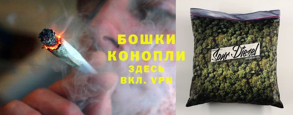 сатива Алексеевка